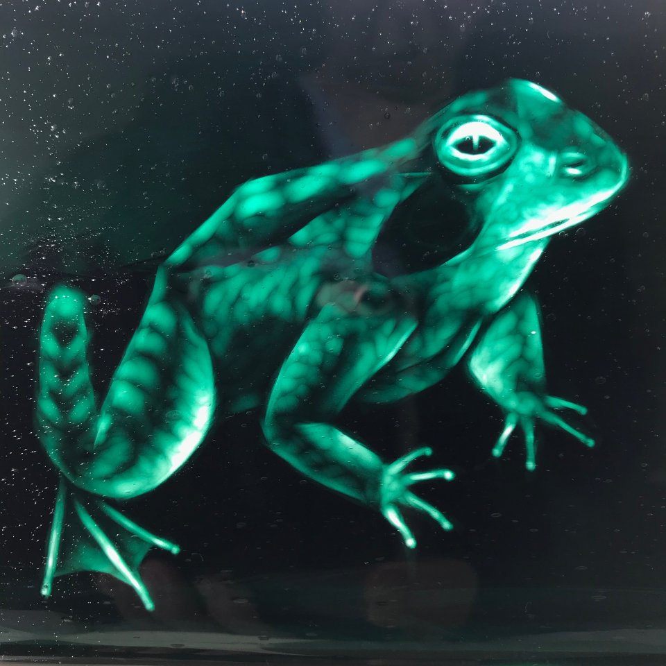 Frog engraved in overlay glass